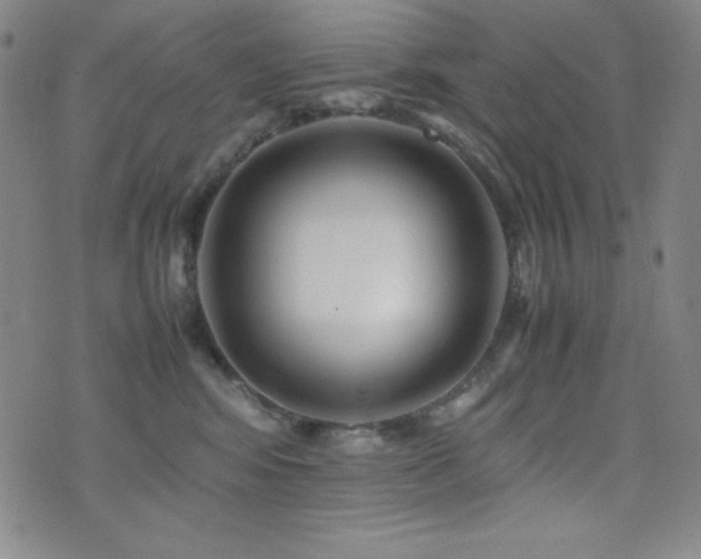 X0000077340424200610201304