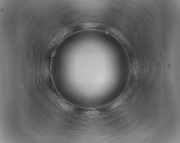 X0000077340426200610201304