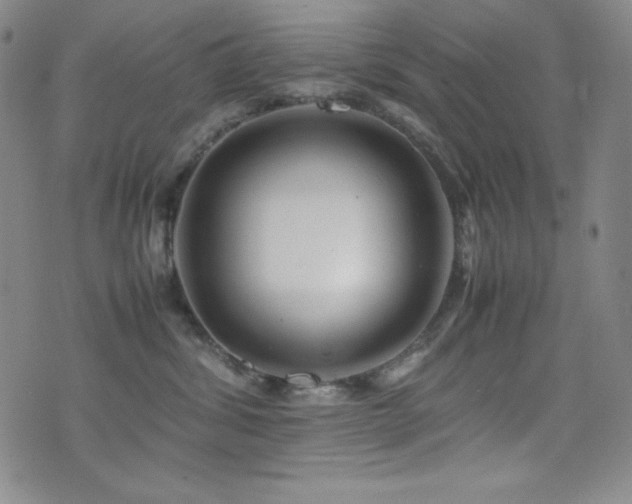 X0000077340428200610201304