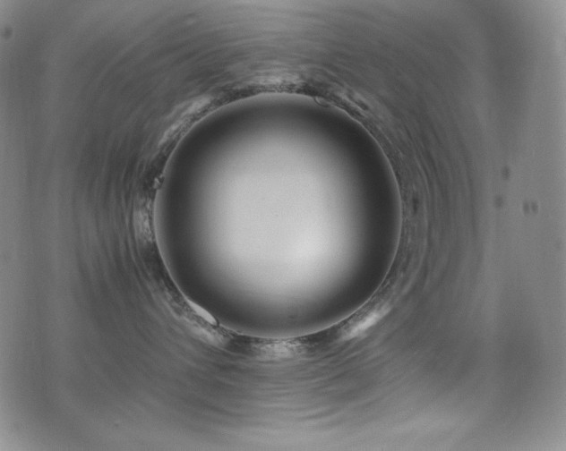 X0000077340432200610201304