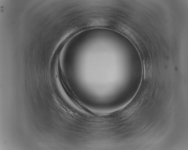 X0000077340435200610201303