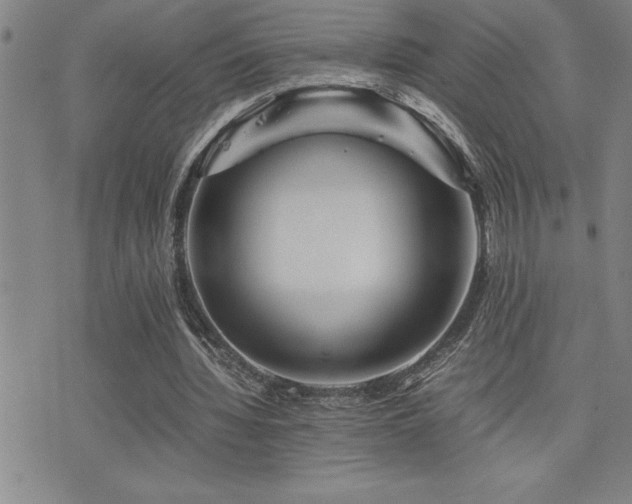 X0000077340436200610201303