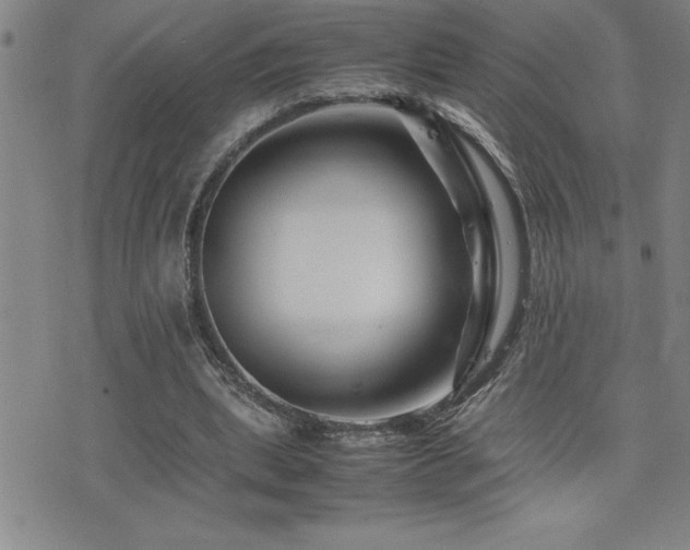 X0000077340439200610201303
