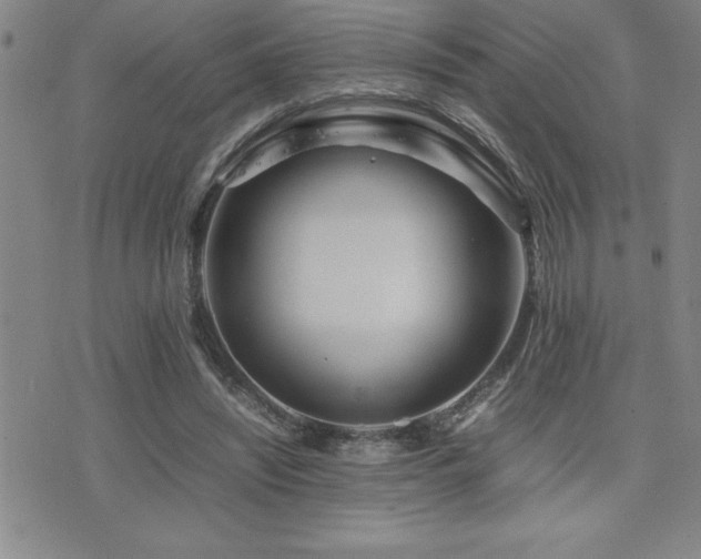 X0000077340444200610201303