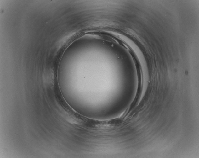 X0000077340448200610201303