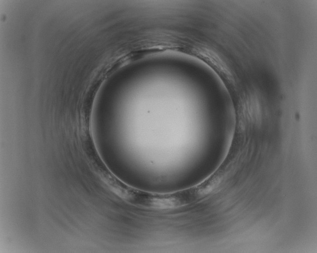 X0000077340457200610201303
