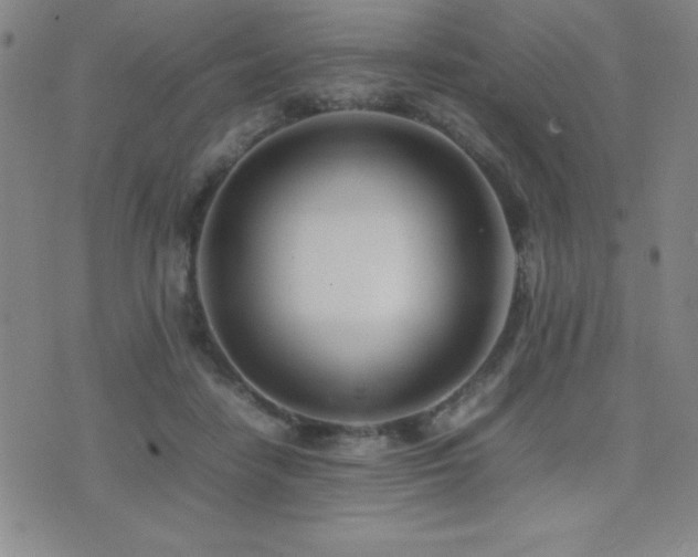X0000077340458200610201303