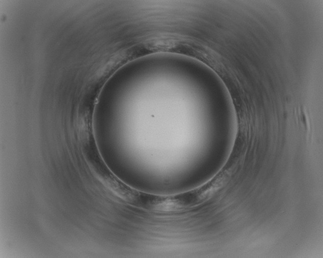 X0000077340460200610201303