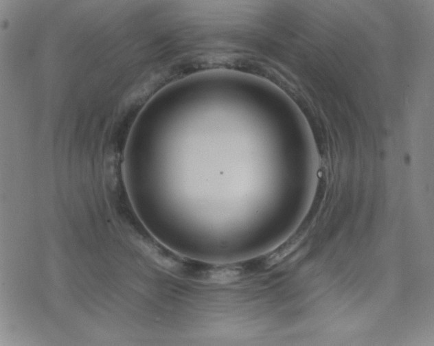 X0000077340462200610201303