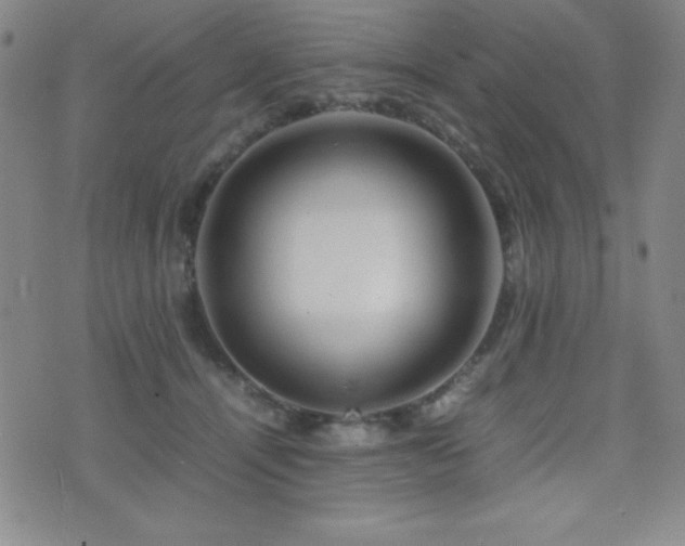 X0000077340464200610201303