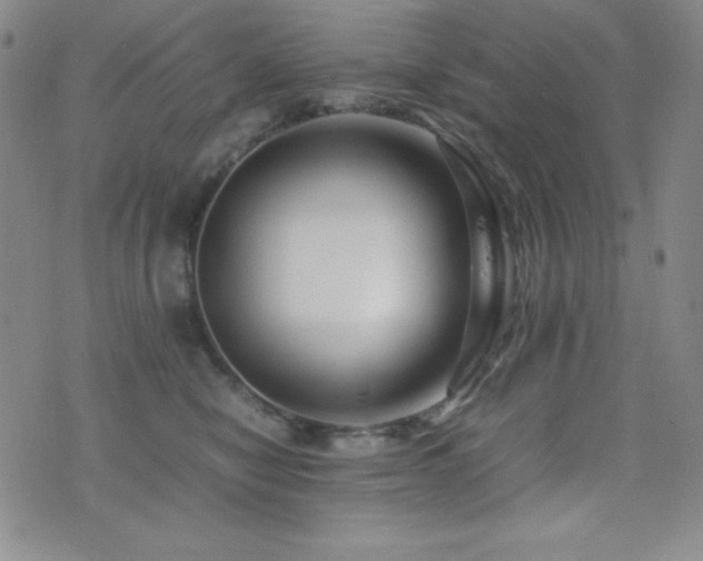 X0000077340470200610201304