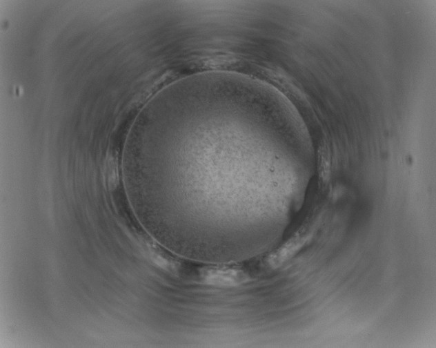 X0000077340471200610201304