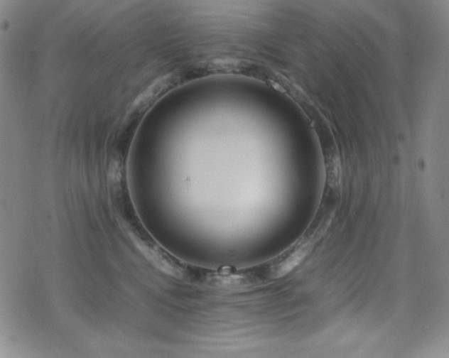 X0000077340472200610201304