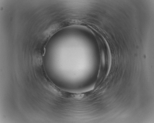 X0000077340474200610201304