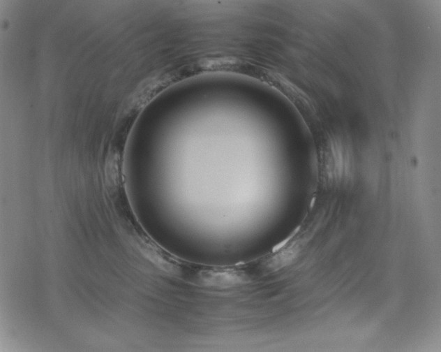 X0000077340475200610201304