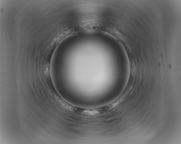 X0000077340477200610201304