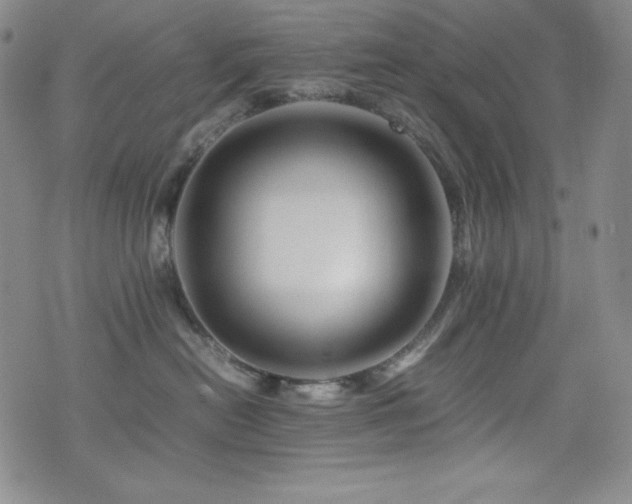 X0000077340478200610201304