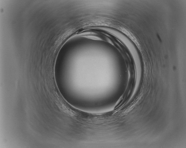 X0000077340481200610201303