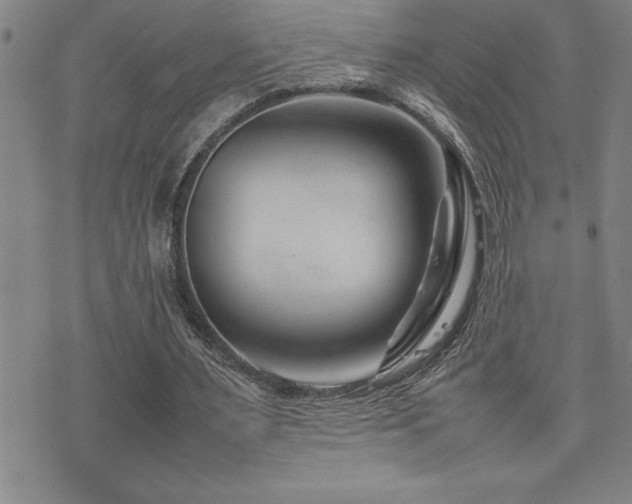 X0000077340483200610201303