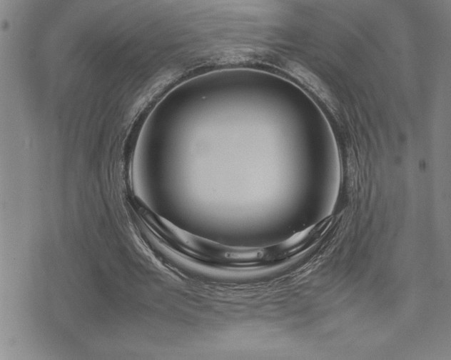 X0000077340485200610201303