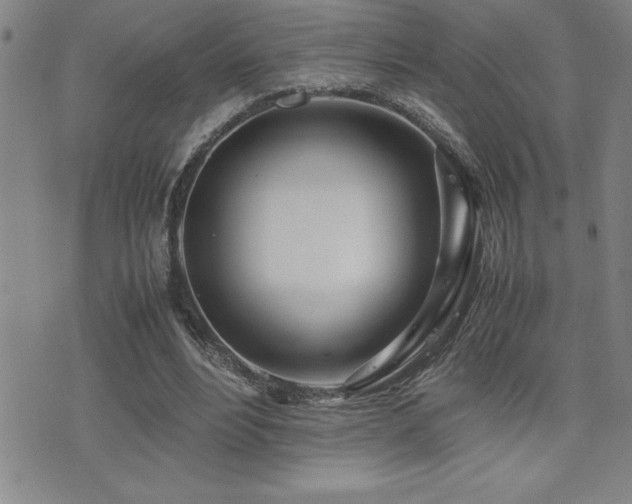 X0000077340488200610201303