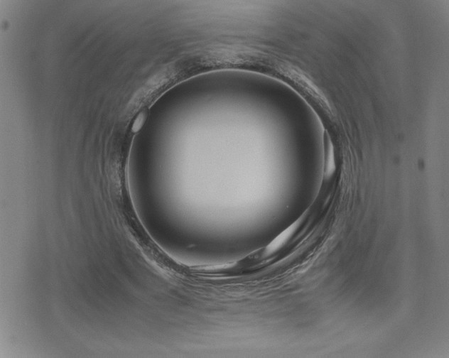 X0000077340489200610201303