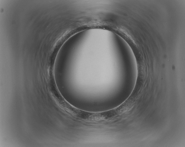 X0000077340491200610201303