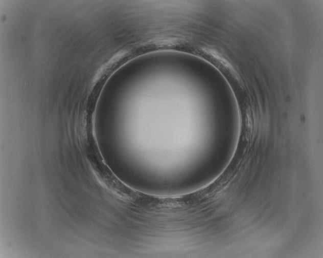 X0000077340492200610201303