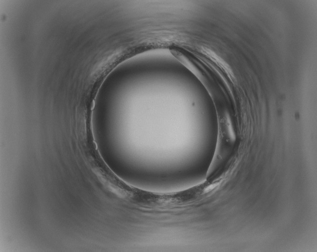 X0000077340493200610201303
