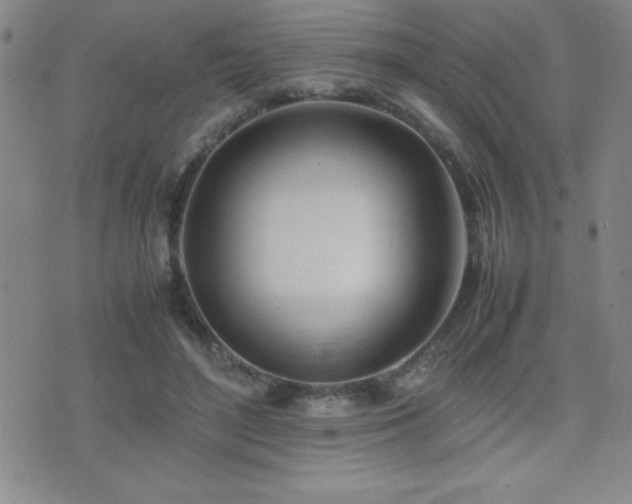 X0000077340500200610201303