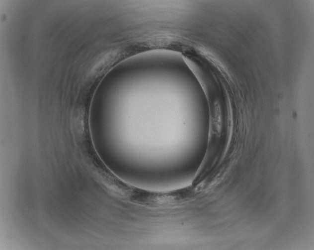 X0000077340501200610201303