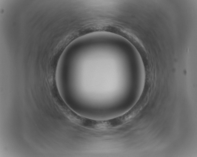 X0000077340505200610201302