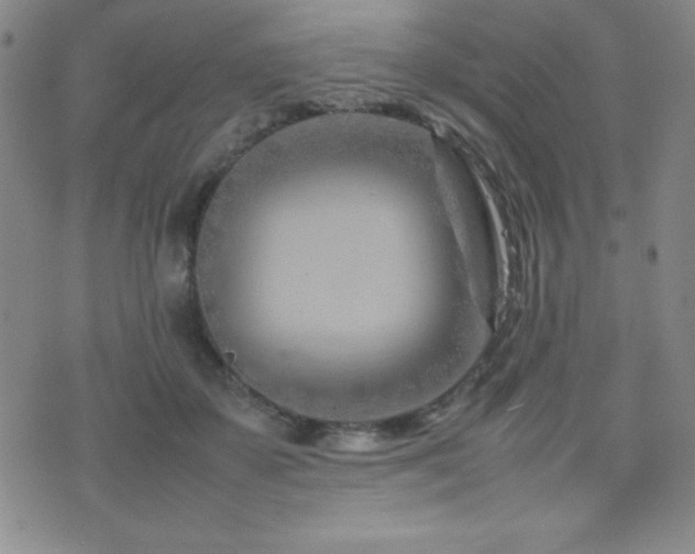 X0000077340507200610201302