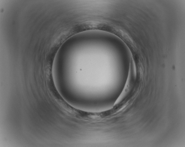 X0000077340509200610201302