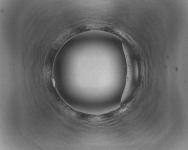 X0000077340513200610201302