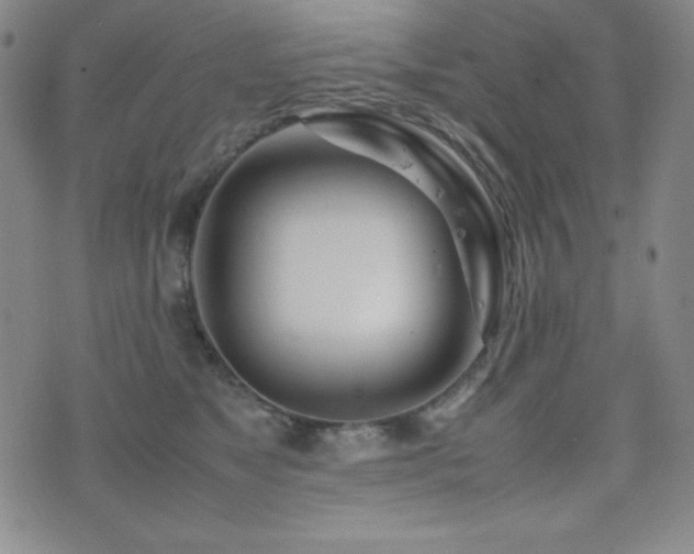 X0000077340517200610201302