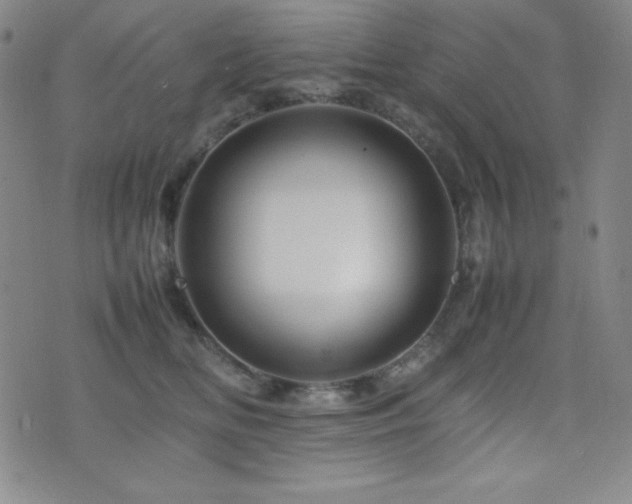 X0000077340518200610201302