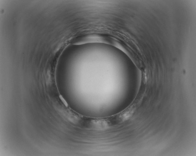 X0000077340520200610201302