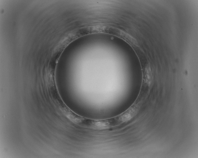 X0000077340522200610201302
