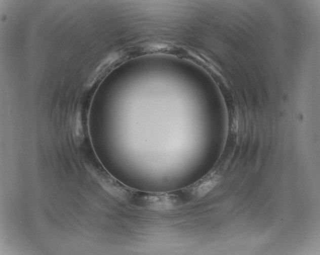 X0000077340524200610201302