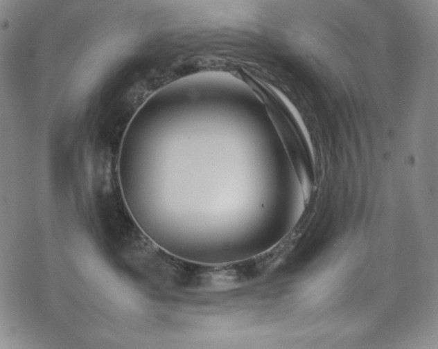 X0000077340525200610201302