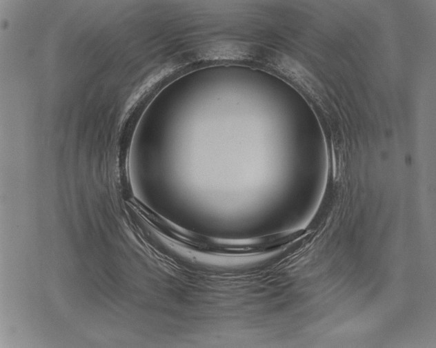 X0000077340531200610201301