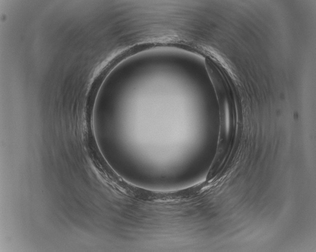 X0000077340532200610201301