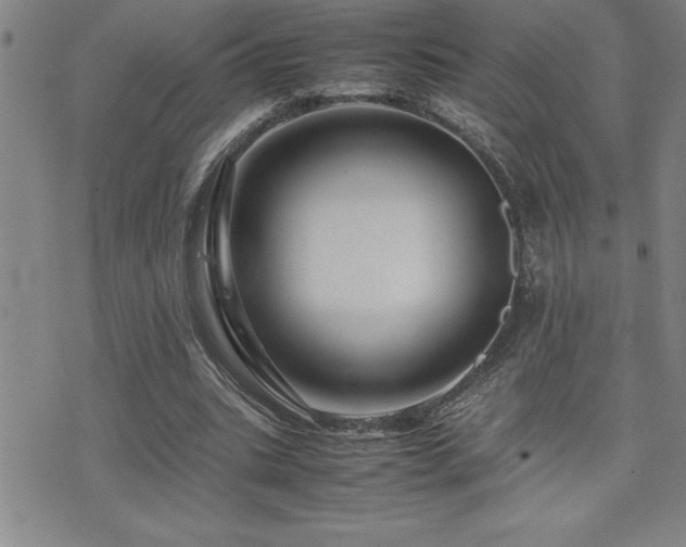 X0000077340535200610201301
