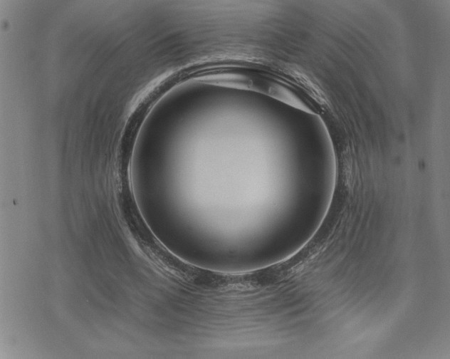 X0000077340536200610201301