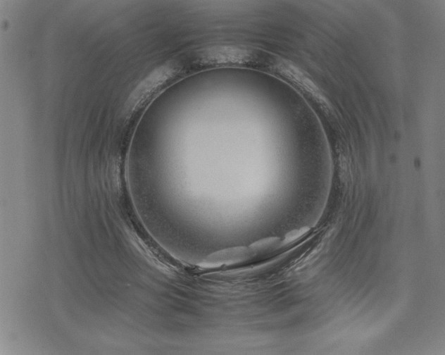 X0000077340537200610201301