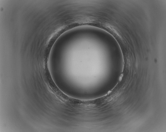 X0000077340539200610201302