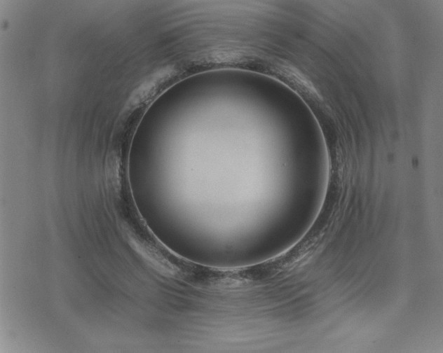 X0000077340542200610201302
