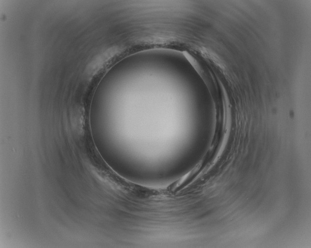 X0000077340544200610201302