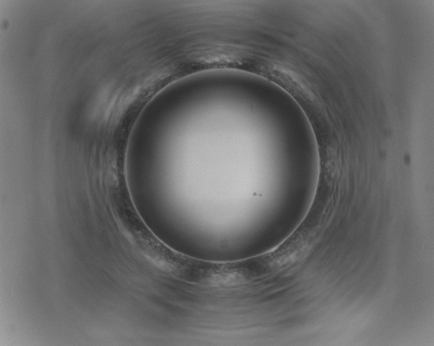 X0000077340547200610201302